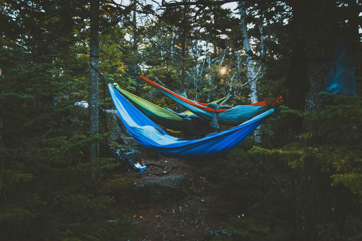 hammock